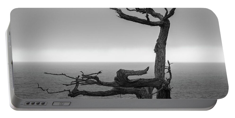17 Mile Drive Portable Battery Charger featuring the photograph Monterey Peninsula V BW by David Gordon
