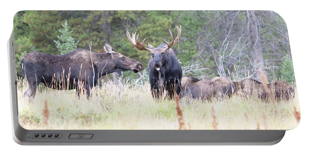 Moose Portable Battery Charger featuring the photograph Moose Herd by Mark Joseph