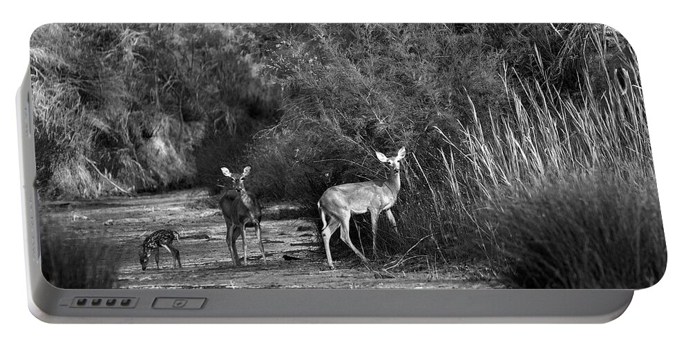 Richard E. Porter Portable Battery Charger featuring the photograph Morning Drink - Deer, Palo Duro Canyon State Park, Texas by Richard Porter