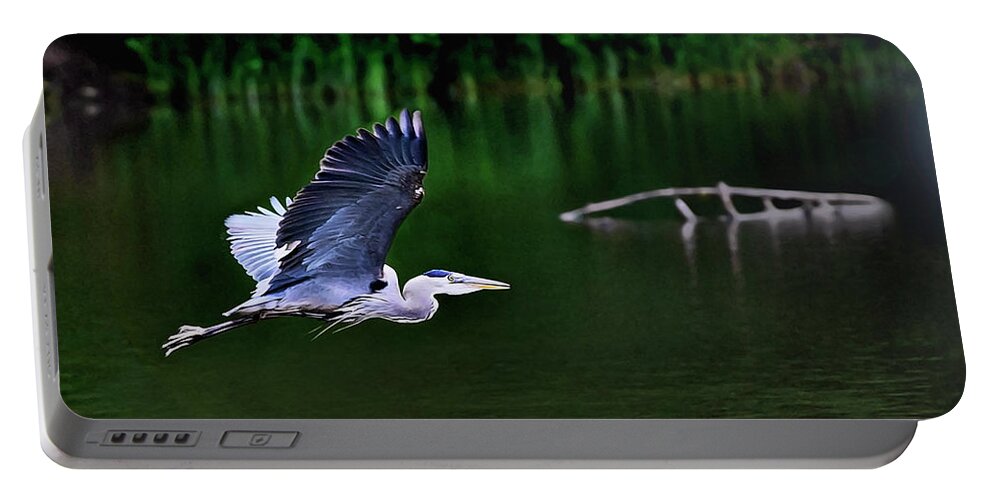 Bird Portable Battery Charger featuring the photograph Morning Flight by John Christopher