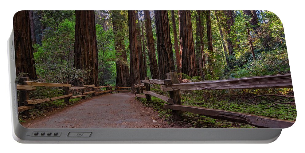 Muir Woods Portable Battery Charger featuring the photograph Morning in Muir Woods by Kristen Wilkinson