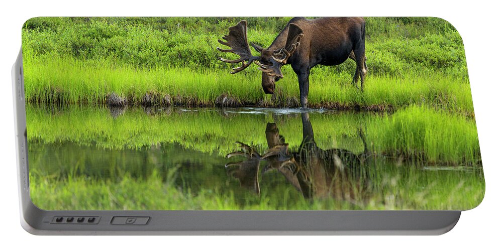 Alaska Portable Battery Charger featuring the photograph Morning Isolation by Chad Dutson