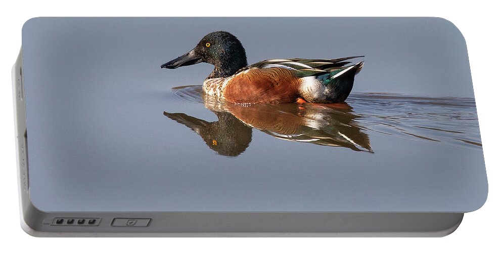 Duck Portable Battery Charger featuring the photograph Morning Swim by Art Cole