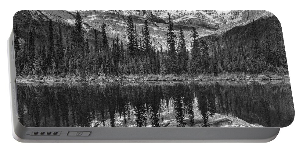 Disk1215 Portable Battery Charger featuring the photograph Mount Huber Yoho National Park by Tim Fitzharris
