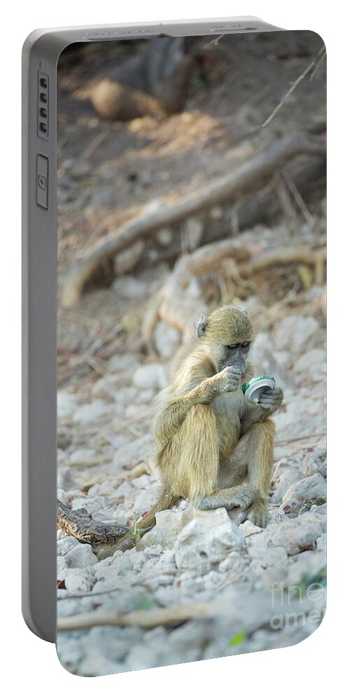 Africa Portable Battery Charger featuring the photograph Mountain Dew by Timothy Hacker