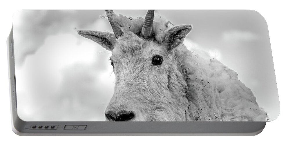 Mountain Goat Portable Battery Charger featuring the photograph Mountain Goat in Black and White 8x10 by Mindy Musick King