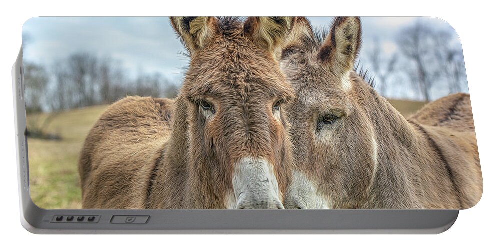 Mule Portable Battery Charger featuring the photograph Mule Buddies by Douglas Wielfaert