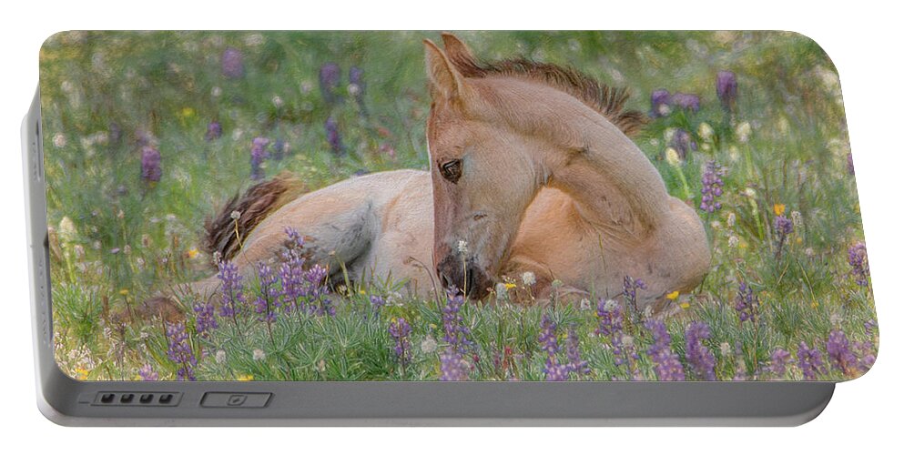 Wild Mustangs Portable Battery Charger featuring the photograph Wild Mustang Foal in the Wildflowers by Marcy Wielfaert