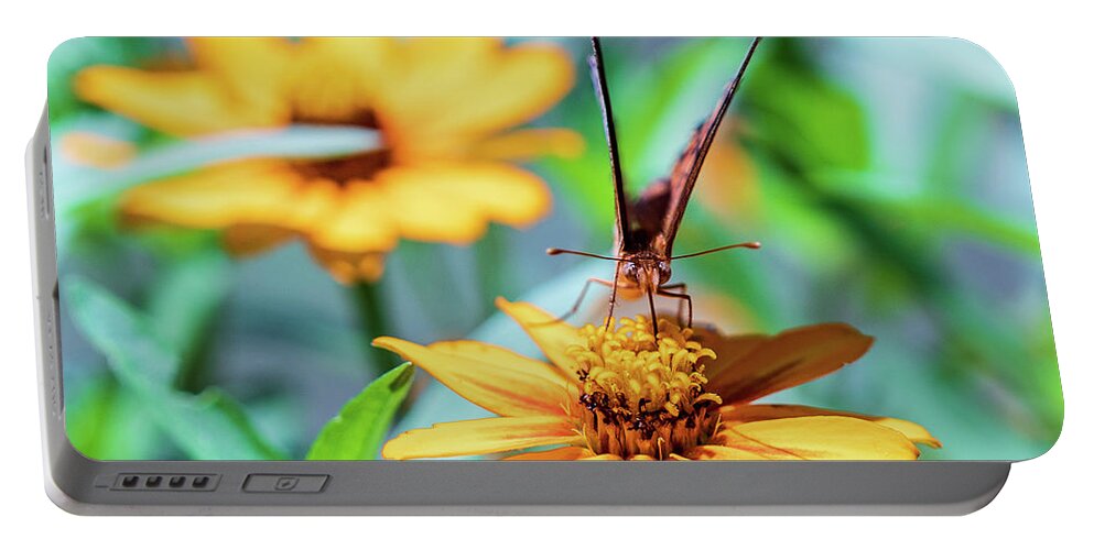 Arboretum Portable Battery Charger featuring the photograph Nature Photography Butterfly by Amelia Pearn