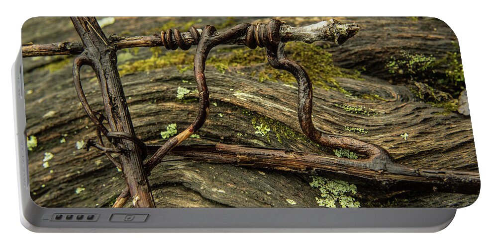Natures Portable Battery Charger featuring the photograph Natures Adventure by Douglas Barnett