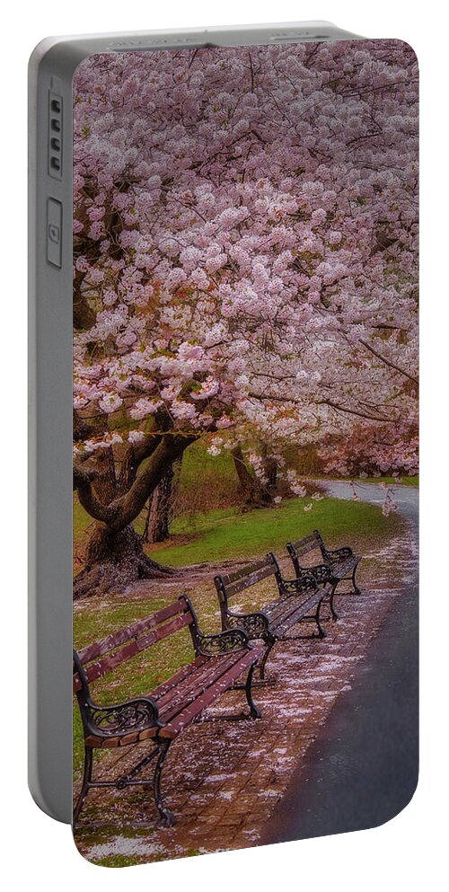 Cherry Blossom Portable Battery Charger featuring the photograph Natures After Party Confetti by Susan Candelario