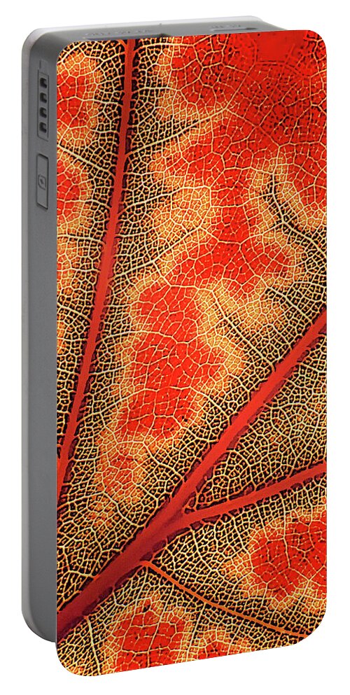 Fall Portable Battery Charger featuring the digital art Nature's Road Map by Randall Dill