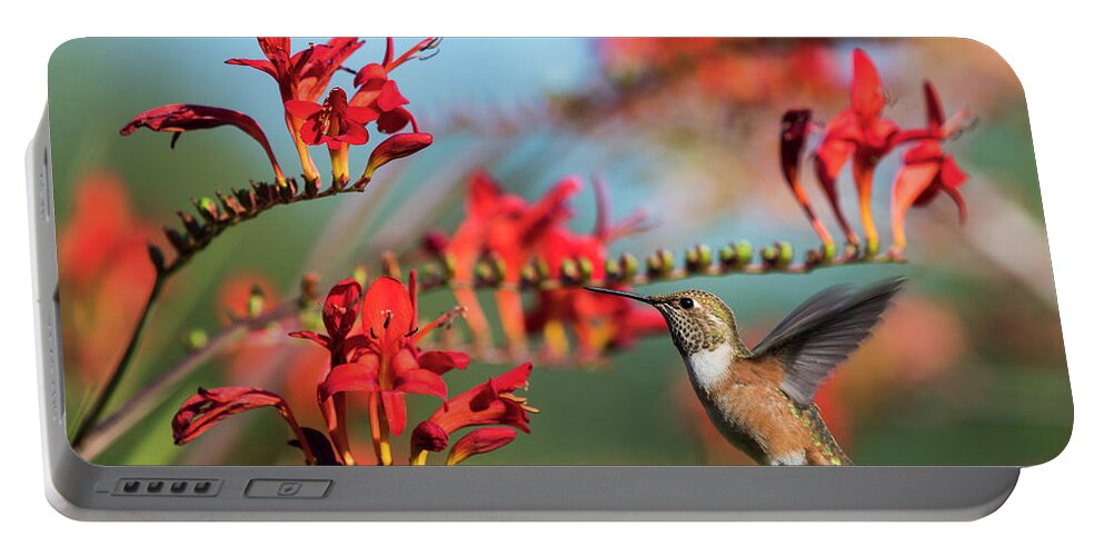 Animals Portable Battery Charger featuring the photograph Nectar Powered by Robert Potts