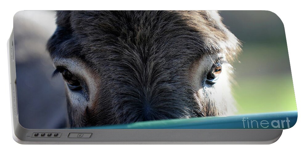 Rosemary Farm Sanctuary Portable Battery Charger featuring the photograph Nemo's Eyes by Carien Schippers