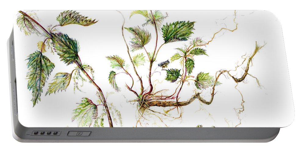 Nettles Portable Battery Charger featuring the painting Nettle by Gloria Newlan