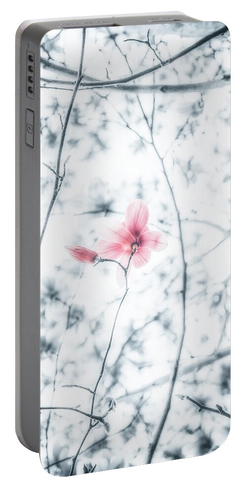 Magnolia Portable Battery Charger featuring the photograph Next Thing by Philippe Sainte-Laudy