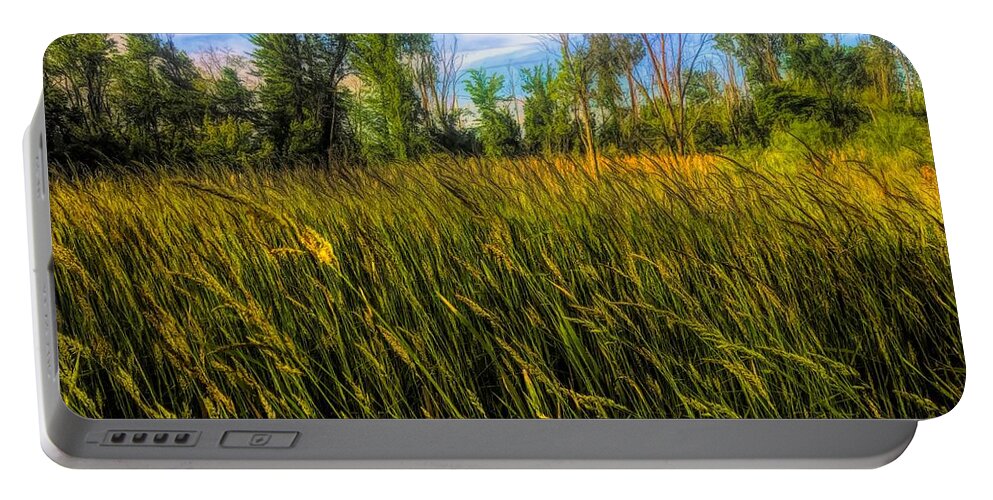  Portable Battery Charger featuring the photograph Nice Breeze by Jack Wilson