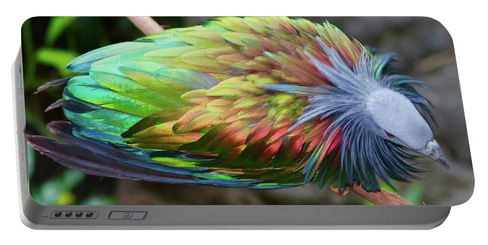 Bird Portable Battery Charger featuring the photograph Nicobar Pigeon by Susan Rydberg