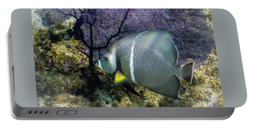 Ocean Portable Battery Charger featuring the photograph No Gray Skies Here by Lynne Browne