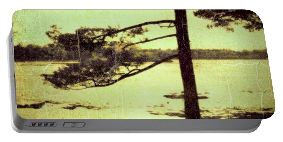 Group Of Seven Portable Battery Charger featuring the photograph Northern Pine by RicharD Murphy