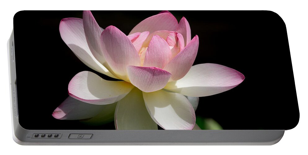 Lotus Portable Battery Charger featuring the photograph Not Your Average Waterlily by Linda Bonaccorsi
