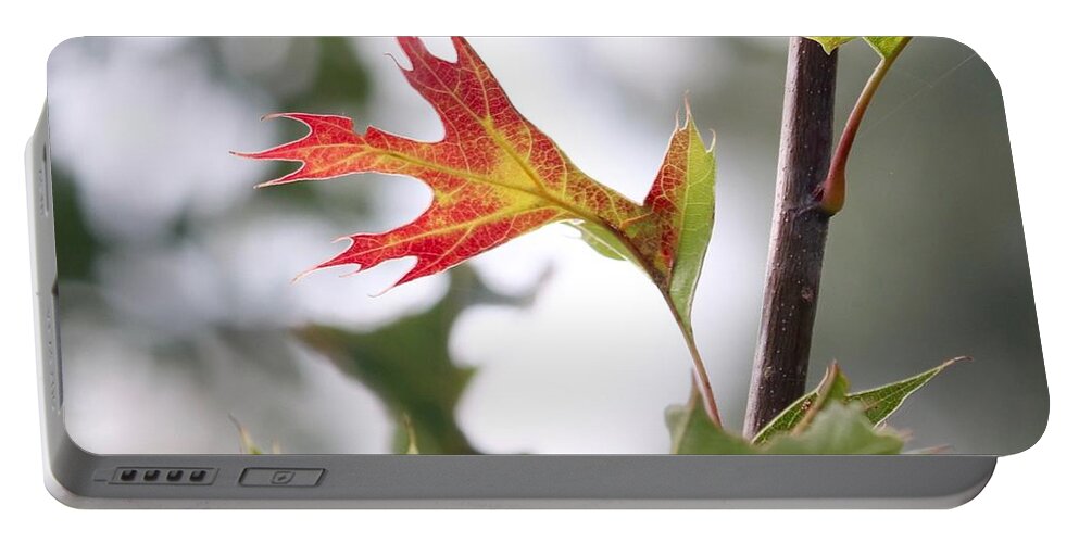 Autumn Portable Battery Charger featuring the photograph Oak Leaf Turning by Sarah Lilja
