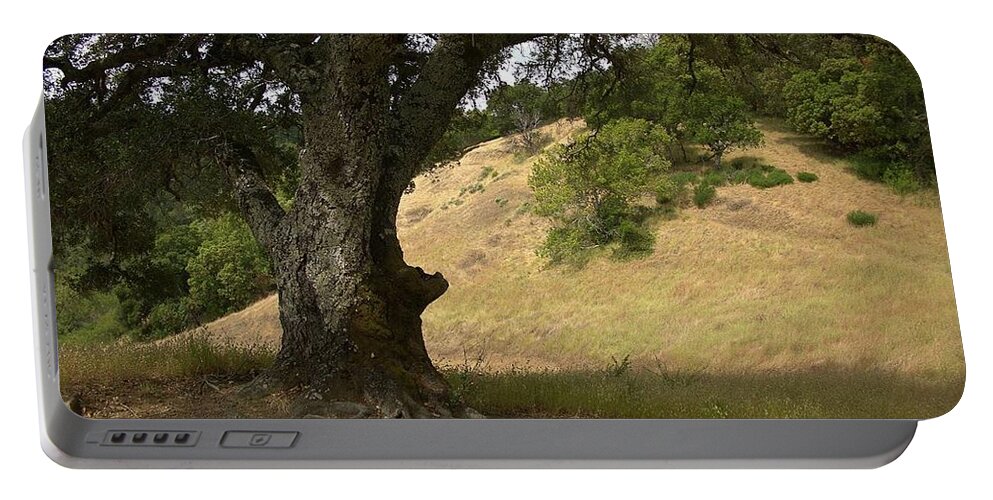 Marin County Portable Battery Charger featuring the photograph Oak Tamalpias Watershed by John Parulis