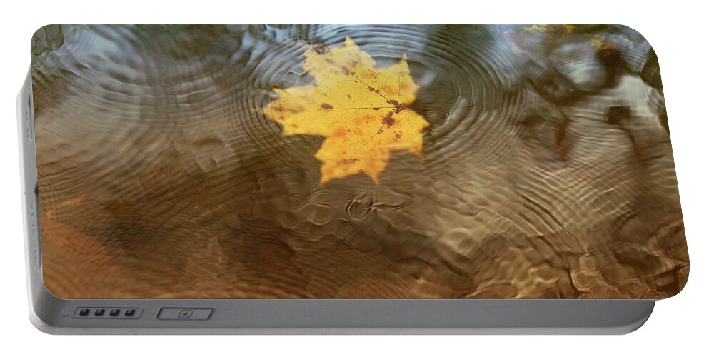 Leaf Portable Battery Charger featuring the photograph October Rain by Rob Blair
