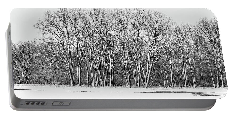 Winterpacht Portable Battery Charger featuring the photograph October Treeline by Miguel Winterpacht