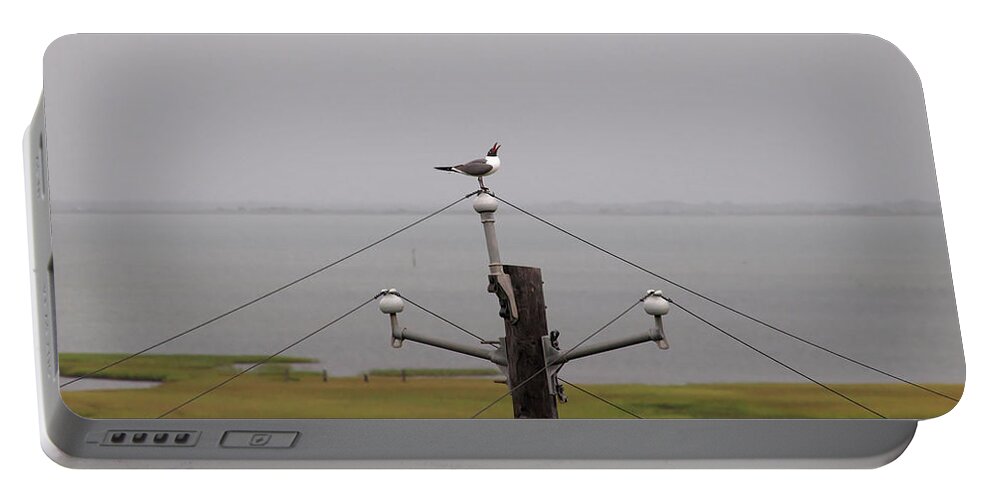 Seagull Portable Battery Charger featuring the photograph OH This Tingles by James Granberry