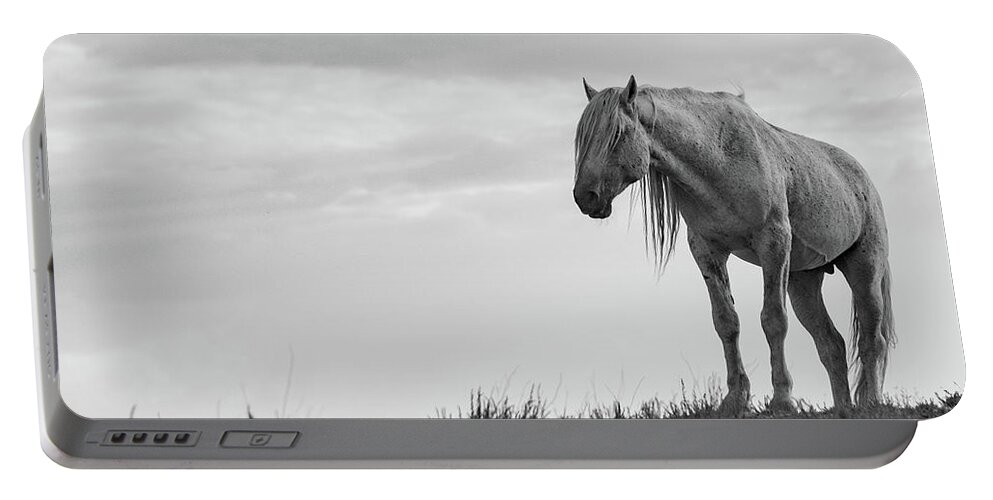 Wild Horse Desert Black And White Equine Old Portable Battery Charger featuring the photograph Old Man by Dirk Johnson