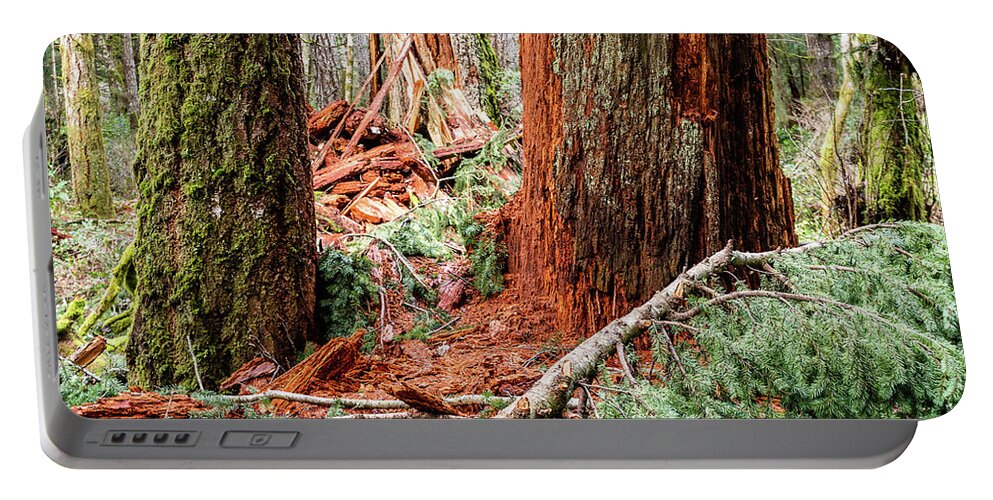 Landscapes Portable Battery Charger featuring the photograph My Time Has Come by Claude Dalley