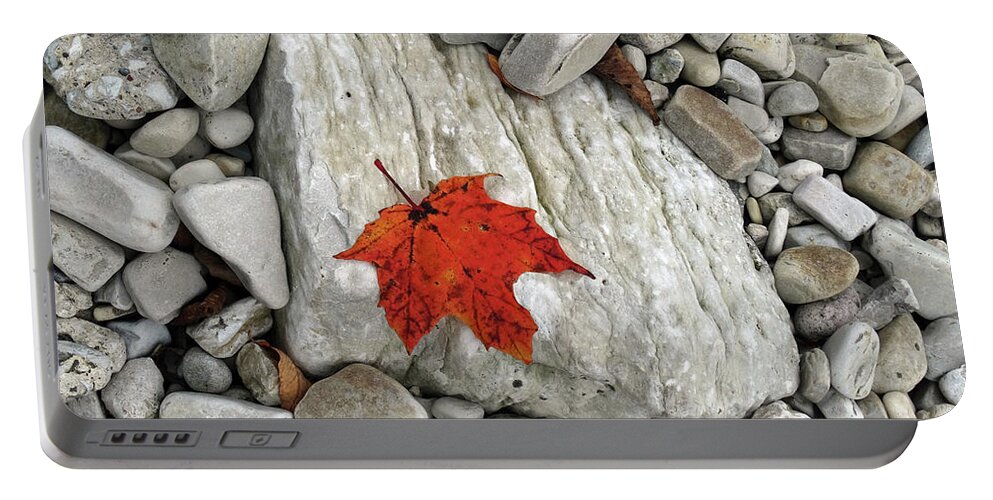 Fall Portable Battery Charger featuring the photograph One Leaf Many Rocks by David T Wilkinson