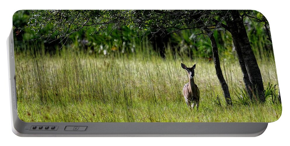 Landscape Portable Battery Charger featuring the photograph One, Two, Tree Oh Deer by T Lynn Dodsworth