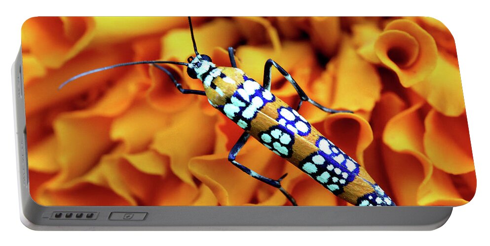 Insects Portable Battery Charger featuring the photograph Orange Ailanthus Webworm Moth by Trina Ansel