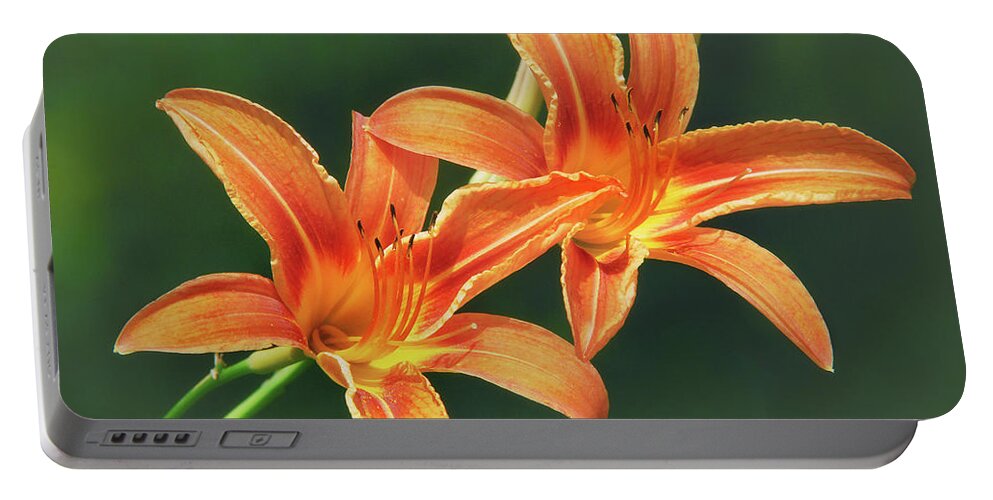 Flowers Portable Battery Charger featuring the photograph Orange Blossom by Christina Rollo