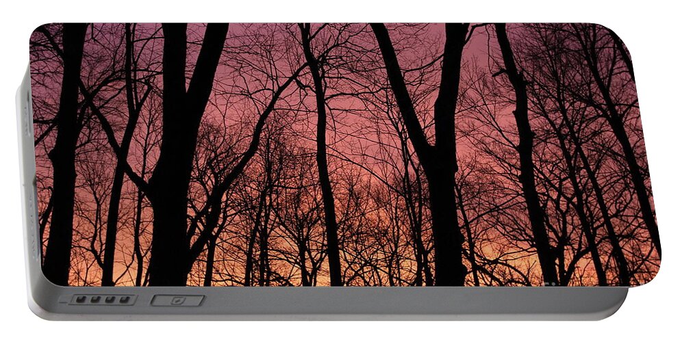 Dawn Portable Battery Charger featuring the photograph Orange Dawn by Paula Guttilla