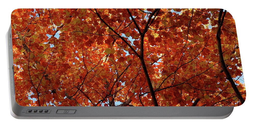 Autumn Portable Battery Charger featuring the photograph Orange everywhere by Silvia Marcoschamer