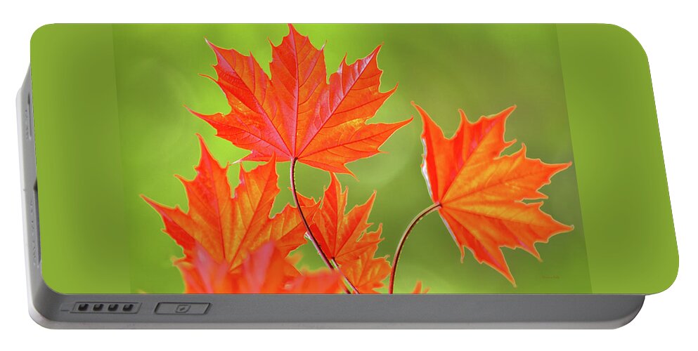 Leaf Portable Battery Charger featuring the photograph Orange Maple Leaves by Christina Rollo