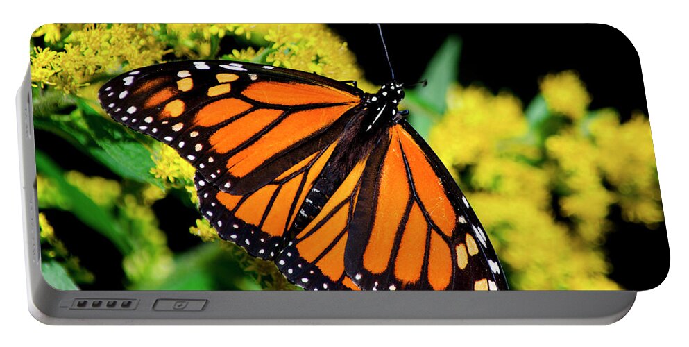 Monarch Butterfly Portable Battery Charger featuring the photograph Orange Monarch Butterfly by Christina Rollo