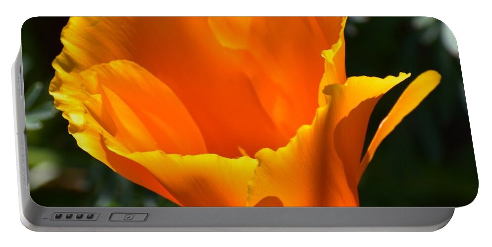 Orange Portable Battery Charger featuring the photograph Orange Poppy by Jimmy Chuck Smith
