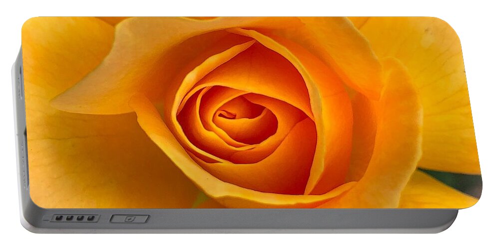 Flower Portable Battery Charger featuring the photograph Orange Rose by Anamar Pictures