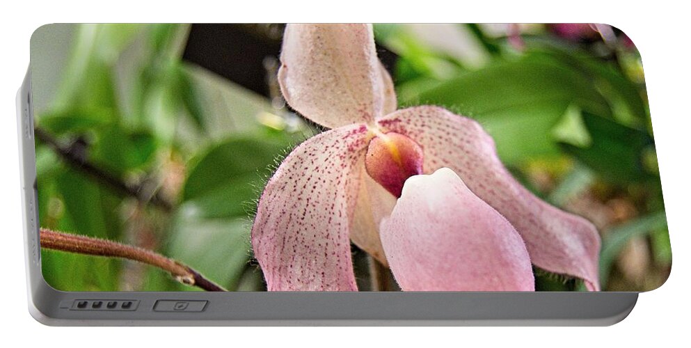 Orchids Portable Battery Charger featuring the photograph Orchid 2 by Charles HALL