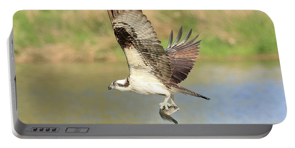 Osprey Portable Battery Charger featuring the photograph Osprey with Trout by Steve McKinzie