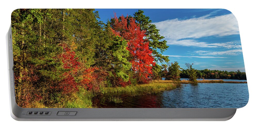 Fall Portable Battery Charger featuring the photograph Oswego Lake Pinelands by Louis Dallara