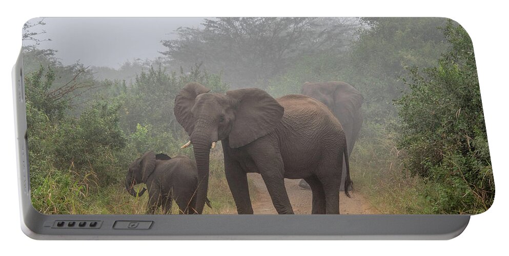 Hluhluwe-imfolozi Park Portable Battery Charger featuring the photograph Out of the Fog in Hluhluwe by Marcy Wielfaert