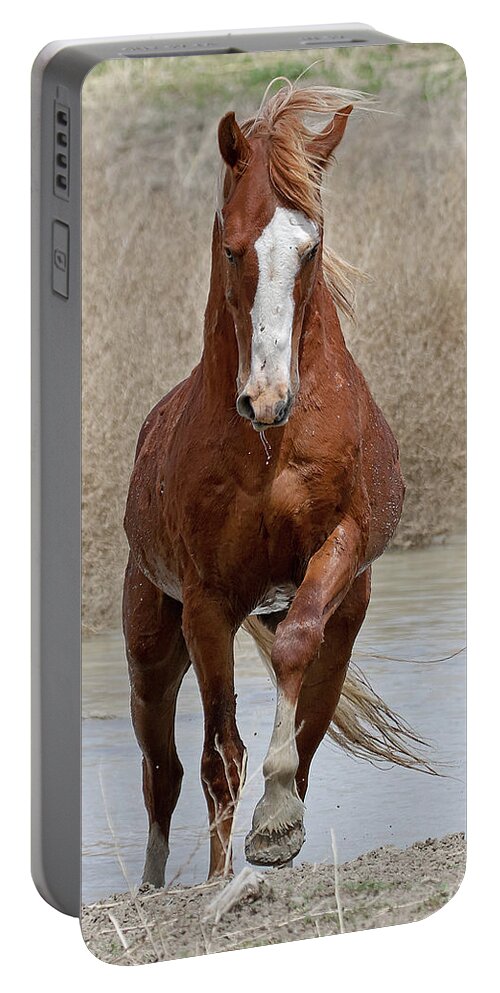 Sand Wash Basin Portable Battery Charger featuring the photograph Outlaw #1 by Mindy Musick King
