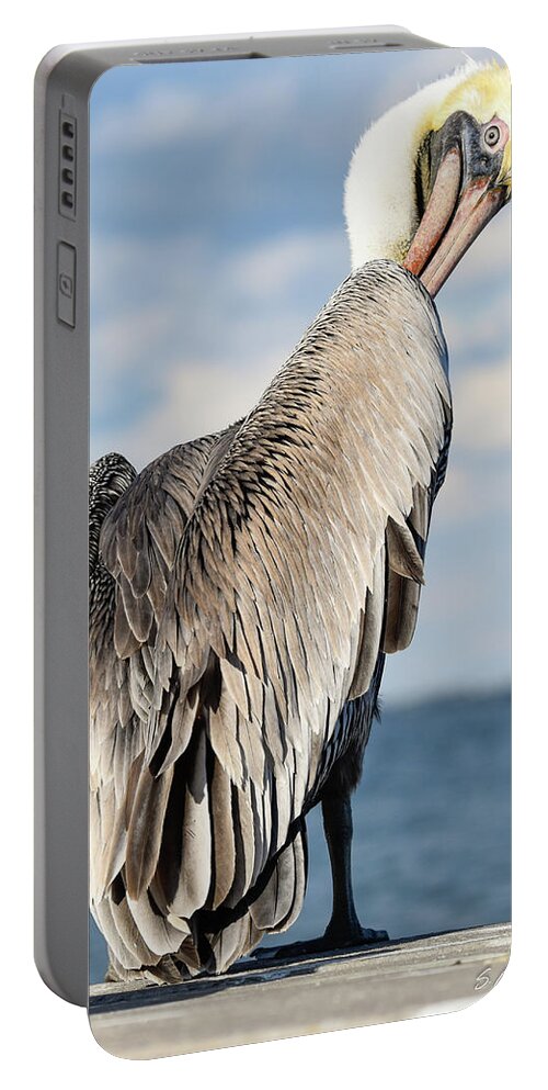 Pelican Portable Battery Charger featuring the photograph Over the Shoulder Glance by Christopher Rice