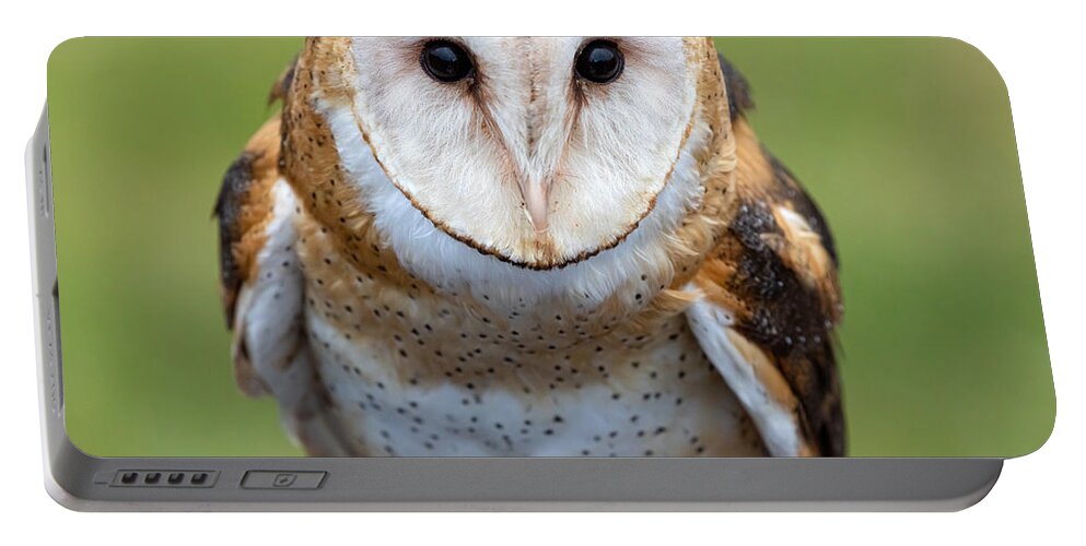 Photography Portable Battery Charger featuring the photograph Owl Portrait by Alma Danison