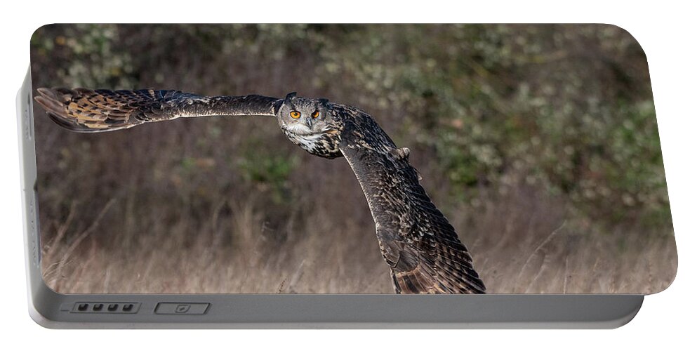 Owl Portable Battery Charger featuring the photograph Owl Turning by Mark Hunter